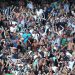 Newcastle United – Have your say in new Fan Focus Groups
