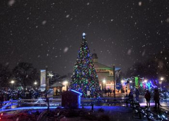 Big Week: November 27 – December 4 | Blogs | Community