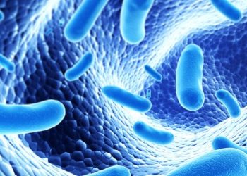 Nestlé partners with college on microbiome research