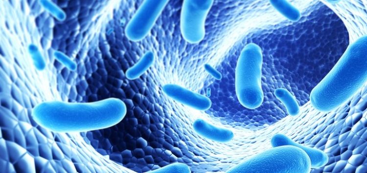 Nestlé partners with college on microbiome research