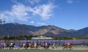 Funding Successful for Equine MRI at Santa Anita