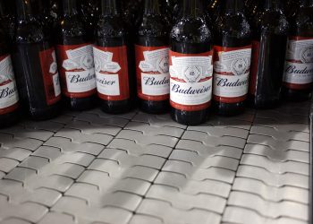 Brand-name beers are kids’ beverage of choice when drinking brews, Iowa State study shows