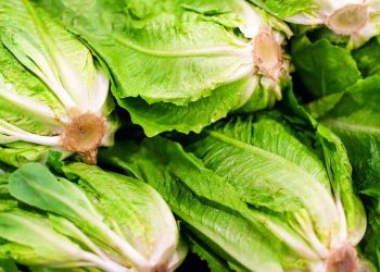Don’t Eat Romaine Lettuce – ConsumerReports.org