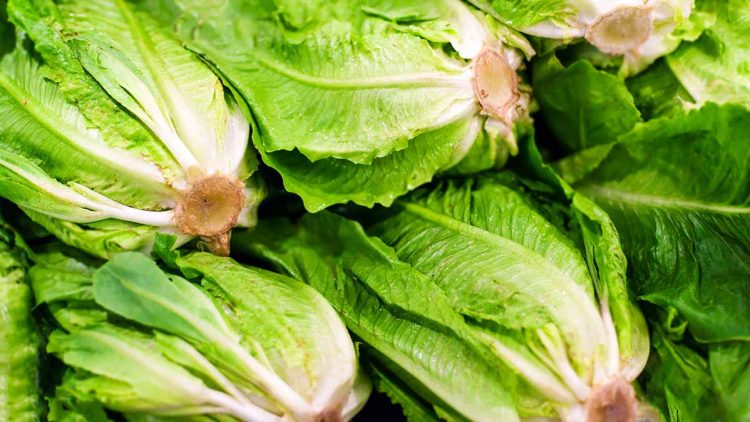 Don’t Eat Romaine Lettuce – ConsumerReports.org