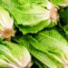 Don’t Eat Romaine Lettuce – ConsumerReports.org