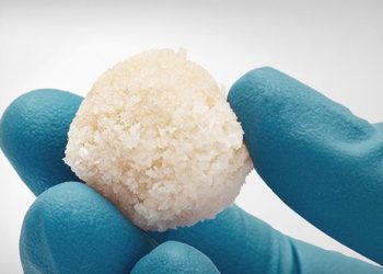 Global Cellular Allografts Market Geographical Survey 2019 – Gel, Putty – Global Market Research 24