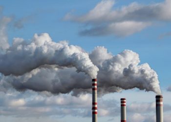 Prenatal Exposure to Air Pollution Linked to Behavior-Related Brain Changes