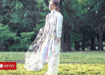 The £7,500 dress that does not exist