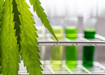 Better Buy: GW Pharmaceuticals vs. 22nd Century Group