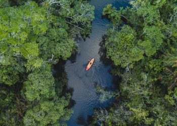 Shopping With Sustainability in Mind