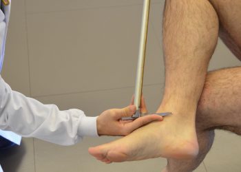 New equations for estimating stature more precisely based on tibia length