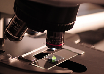 ASU, UArizona receive awards to fund research equipment