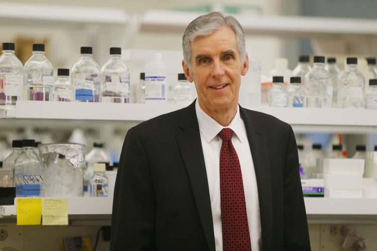 UB makes commitment to join the fight against health disparities – The Buffalo News