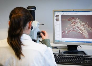 New Zealand institutions found wanting over research