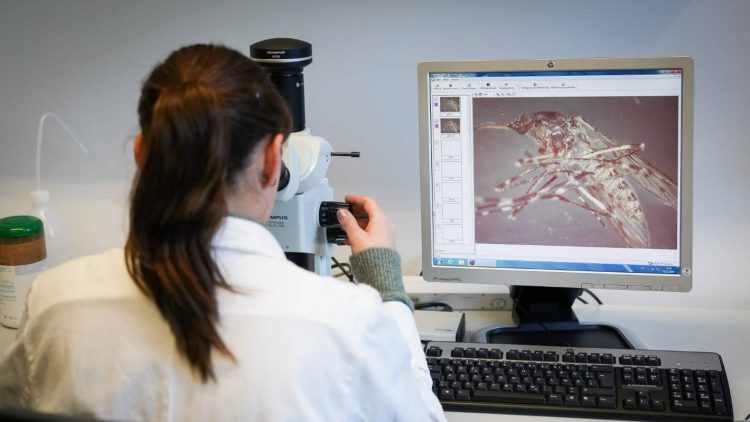 New Zealand institutions found wanting over research