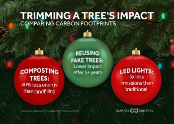 Tackling the Tree Debate | WTAJ
