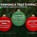 Tackling the Tree Debate | WTAJ