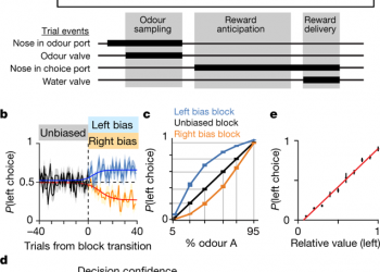 Frontal cortex neuron types categorically encode single decision variables
