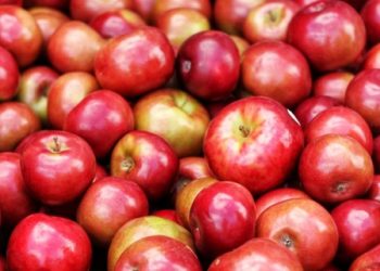 How Do Artificial Flavours Affect Apples?