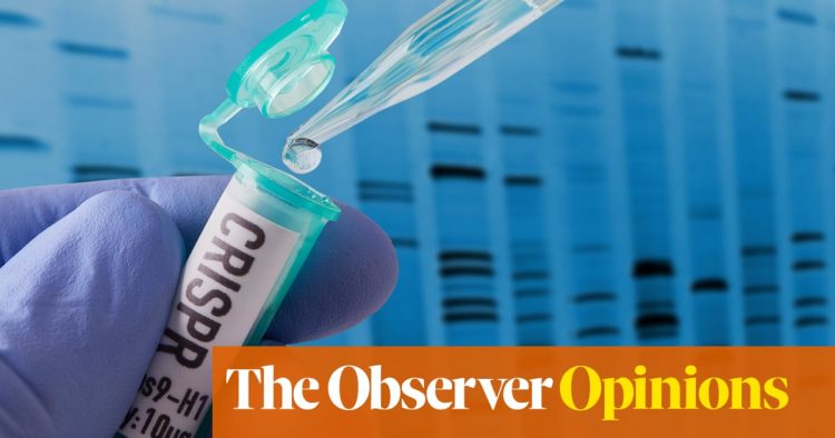 Gene editing will let us control our very evolution. Will we use it wisely? | Dan Rather | Opinion