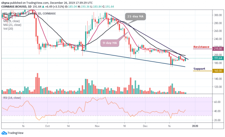 BCH/USD Price Takes the High Road; Indicating Price Rally