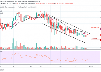 DOGE/USD Sticks To The Fall; Price Drops To $0.0019 Support Level