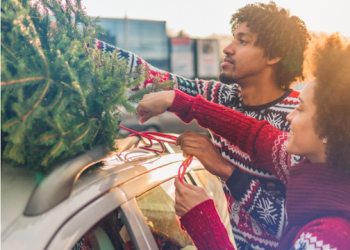 AAA urges drivers to safely secure Christmas trees
