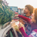 AAA urges drivers to safely secure Christmas trees