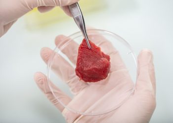 Are consumers warming up to the idea of cell cultured meat?