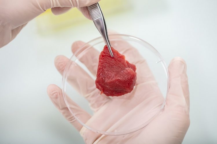 Are consumers warming up to the idea of cell cultured meat?