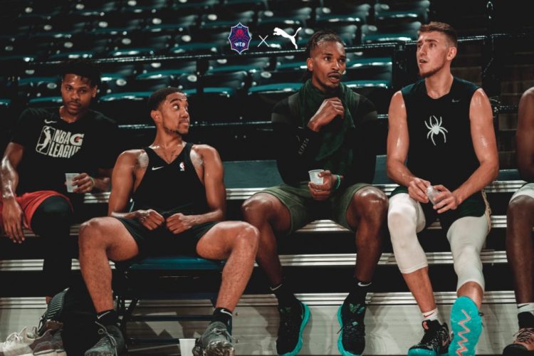 The Web (TBT) – Where Are They Now?