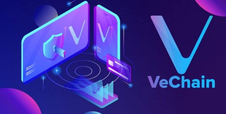 Trade99’s VET Price Analysis: Further Downfall on the Way for VeChain
