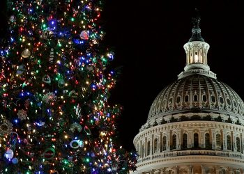 A congressional Christmas list for consumers