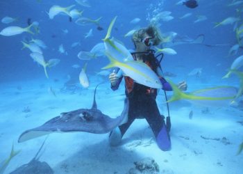 Enterprise AI: Diving into Machine Learning