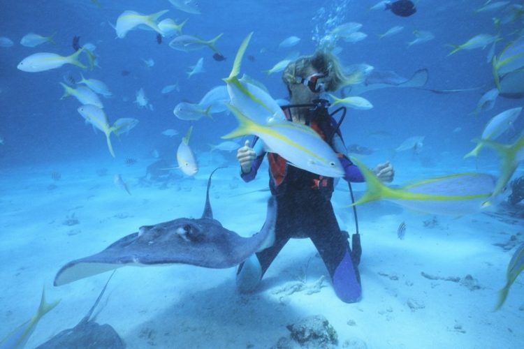 Enterprise AI: Diving into Machine Learning