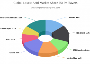 Anti-glare Glass Market Opportunity Assessment, Market Challenges, Key Players Analysis, Vendor landscape by 2024