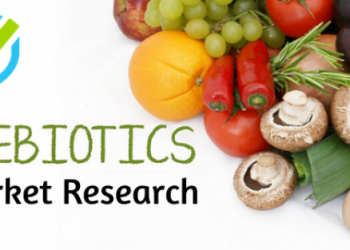 Massive Growth in Prebiotics Market 2019-2026