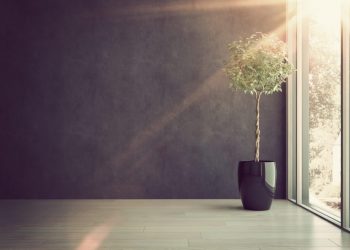 Bitcoin is Alive and Well, Price Still in Macro Uptrend