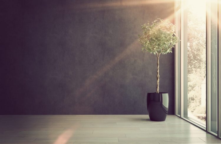 Bitcoin is Alive and Well, Price Still in Macro Uptrend