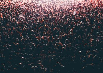 Number of Plus Balance Bitcoin Addresses Hits All-Time High, is the Bottom in?