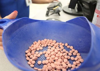U.S. Considers Easing Drug Protections to Break Logjam Over Trade Pact