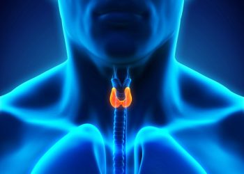 Updated detection guidelines drive decrease in US thyroid cancer incidence