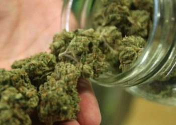Finding success in the cannabis industry sometimes means not mentioning cannabis