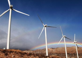 A Guide to Finding Truly Sustainable Funds From a Chief Sustainability Officer