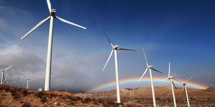 A Guide to Finding Truly Sustainable Funds From a Chief Sustainability Officer