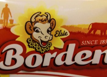 Borden Dairy files for bankruptcy protection