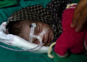 WHO calls on big pharma to tackle antibiotic crisis