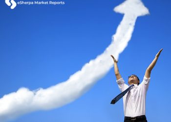 Global Industry Growth Analysis, Size, Share, Future Trends, Segmentation, Demands and Top Players Updates by Forecast to 2024 – Dagoretti News