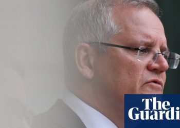 Coalition’s axing of funding to climate change adaptation body condemned | Environment