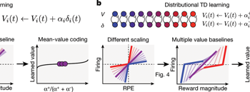 A distributional code for value in dopamine-based reinforcement learning